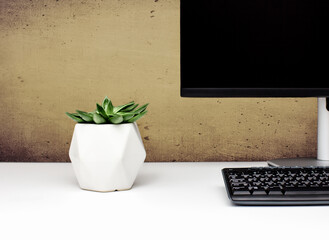 The concept of organizing the workspace. Office workplace with pot plant. Computer monitor and keyboard on the background of a stone wall.