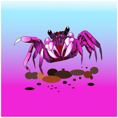 crab illustration