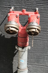 Red fire hydrant, detail