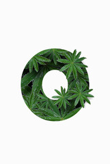 Arabic numeral zero 0 isolated on a white background. Stylized as a collage of a photo of a lupin flower leaf. Concept: graphic design decorated with decorative font.