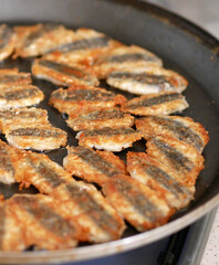 close-up pan fried anchovy,Turkish style fried anchovy in oil,