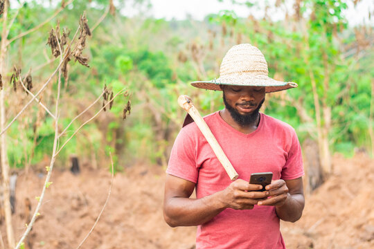 african farmer checking his phone