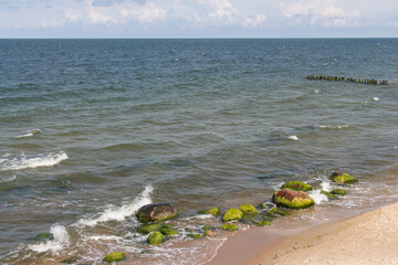 Fototapeta na wymiar Marine landscape with stones, breakwaters and sea in summer time, Svetlogorsk, Russia.
