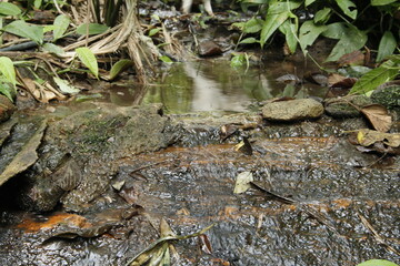 Water flowing into the water