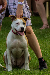 Walking in the city park and looking animals and plant