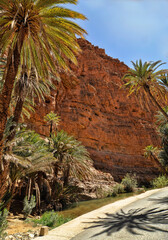 Fototapeta na wymiar Oasis en Taroudant (Marruecos) con pared montañosa de color rojizo y palmeras que crecen al borde de una formacion de agua. Sobre el camino se proyecta perfectamente la sombra de una palmera.