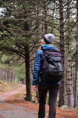 Hiker walking along a path in the forest.