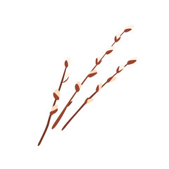 Willow twigs vector illustration isolated on white background in