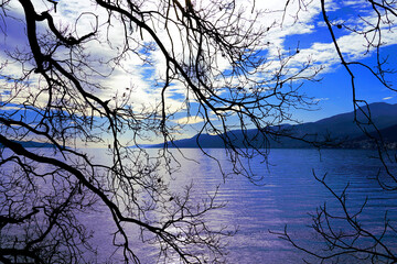 Beautiful seascape with branches silhouette above blue sea surface and purplish reflection of sky