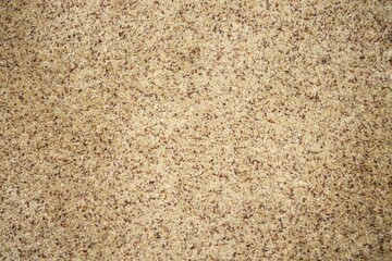 Beige Carpet