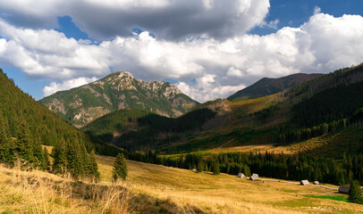 Naklejka premium Pieniny, Tatry, Karpaty, Polska, Trzy korony, owce, redyk, dolina gąsienicowa