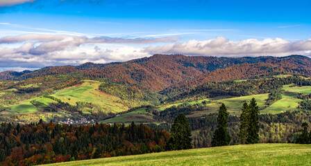Pieniny, Tatry, Karpaty, Polska, Trzy korony, owce, redyk,  © Daniel Folek