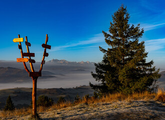 Pieniny, Tatry, Karpaty, Polska, Trzy korony, owce, redyk,  © Daniel Folek