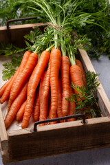 Fresh and sweet carrot on a  wooden box.