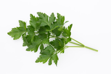 Bio parsley leaf on white background.