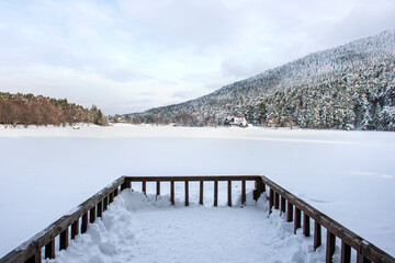 Naklejka premium GOLCUK NATURE PARK in Bolu, Turkey. (Turkish: Golcuk Tabiat Parki). Beautiful winter landscape at Golcuk Lake.