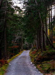 Sudety, Karkonosze, Śnieżka , góry