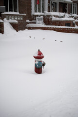snow covered hydrant