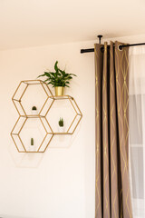 Hexagon Regal - Gold mit Kaktus