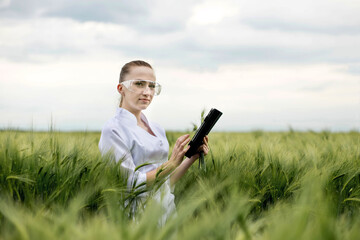 Young woman farmer wearing white bathrobe is checking harvest progress on a tablet at the green wheat field. New crop of wheat is growing. Agricultural and farm concept.