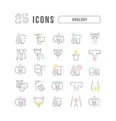 Urology. Collection of perfectly thin icons for web design, app, and the most modern projects. The kit of signs for category Medicine.