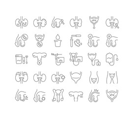 Urology. Collection of perfectly thin icons for web design, app, and the most modern projects. The kit of signs for category Medicine.