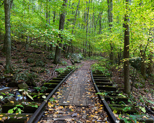 overgrown railroad tracks