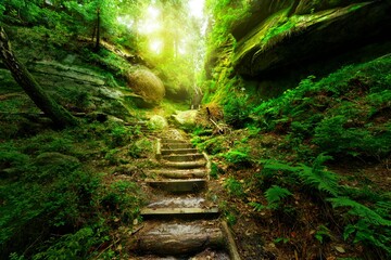 path into sunlight towards hilltop rocks both sides sunlit stairs saxon switzerland