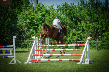 rider jumps over an obstacle with his horse