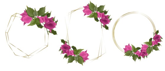 Vector set of floral frames. Pink bougainvillea, golden frames. Elements for design on a white background. - obrazy, fototapety, plakaty