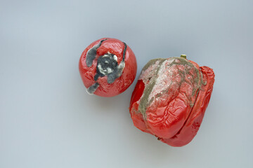 Rotten tomato and pepper with toxic dark mold, growing mildew and fungus on grey background....
