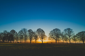 Landscape  of Vancouver Sky and Sunset from Stanley Park