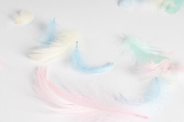 small colored feathers, on a white background, there is a place for text. Top view Easter concept