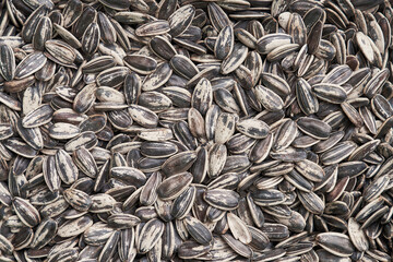 Beautiful sunflower seeds image
