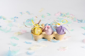 Easter colored eggs in a box, on a white background decorated with colored feathers. There is space for text. Side view