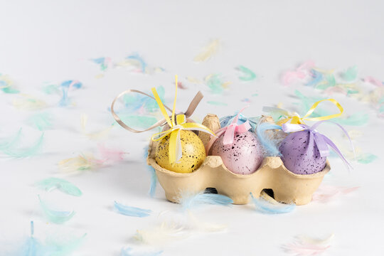 Easter colored eggs in a box, on a white background decorated with colored feathers. There is space for text. Side view