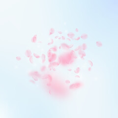 Obraz na płótnie Canvas Sakura petals falling down. Romantic pink flowers explosion. Flying petals on blue sky square background. Love, romance concept. Eminent wedding invitation.