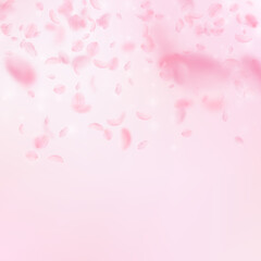 Fototapeta na wymiar Sakura petals falling down. Romantic pink flowers gradient. Flying petals on pink square background. Love, romance concept. Quaint wedding invitation.