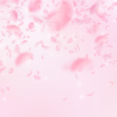 Fototapeta na wymiar Sakura petals falling down. Romantic pink flowers falling rain. Flying petals on pink square background. Love, romance concept. Good-looking wedding invitation.