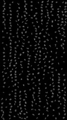 Naklejka na ściany i meble Falling numbers, big data concept. Binary white random flying digits. Elegant futuristic banner on black background. Digital vector illustration with falling numbers.