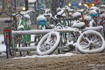 Biciclette innevate