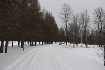 Scotstown 29 Janvier 2022