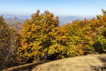 Autumn Landscape of Erul mountain near Golemi peak, Bulgaria