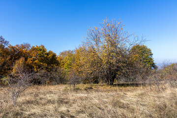 Autumn Landscape of Erul mountain near Golemi peak, Bulgaria