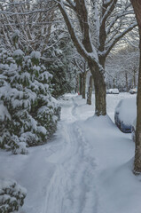 Landscape in Vancouver in Snow