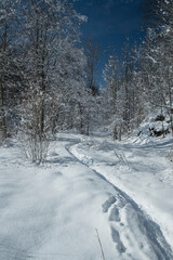 zima w górach © siwyk