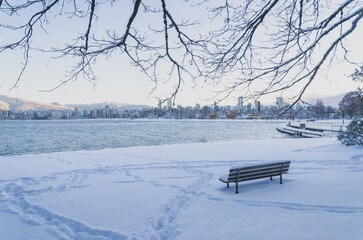 Landscape in Vancouver in Snow