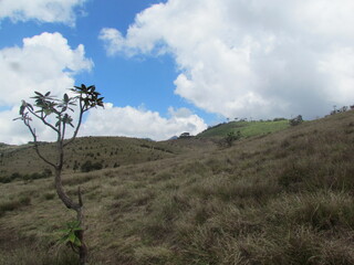 Horton Plains National Park - Sri Lanka
 It is located at an elevation of 2,100–2,300 m and encompasses montane grassland and cloud forest. 