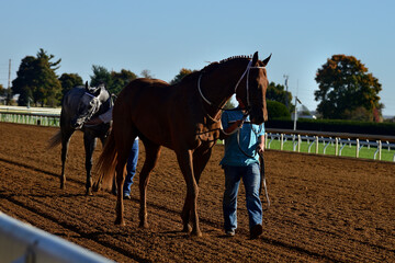 アメリカの競走馬文化、馬牧場と競馬場