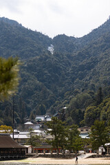 EOSRP.広島宮島、雪残り宮島。